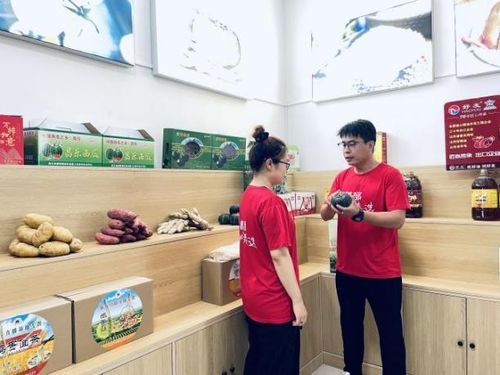 濰坊昌樂 琴聲悠揚，奏響文化振興與初級農產品銷售的交響曲