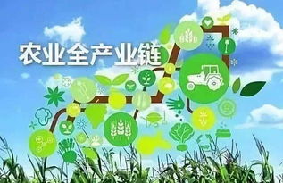 滯銷困境下，農業產業鏈缺失的代價——低價與被動銷售之痛