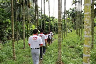 深入田間地頭，助力脫貧攻堅——國家扶貧日貧困戶農產品生產銷售調研紀實