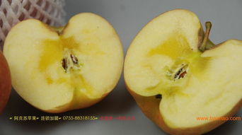 尋覓純正阿克蘇糖心蘋果——華夏田園農產品銷售公司是您的最佳選擇