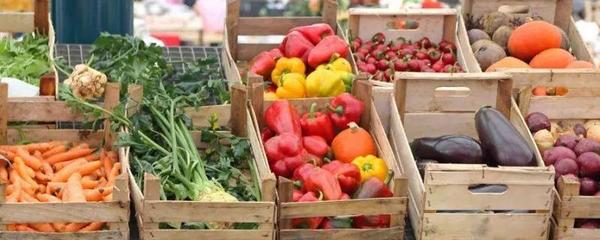 初級農產品的銷售渠道、模式及三無產品問題探討