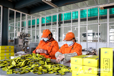 從田間到指尖 新疆特色農(nóng)產(chǎn)品的華麗轉(zhuǎn)型