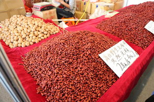 華南城大地迎春年貨節盛大開幕，第一書記傾情助農，初級農產品銷售火熱