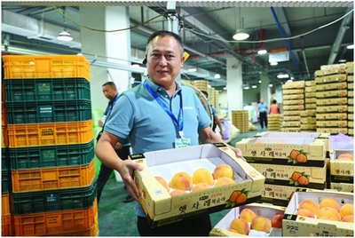 從村頭到世界 一位村長(zhǎng)的“出海”記與初級(jí)農(nóng)產(chǎn)品銷售的破局之路