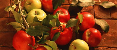 從田間到品牌 初級(jí)農(nóng)產(chǎn)品品牌化與區(qū)域公共品牌的系統(tǒng)性建設(shè)策略