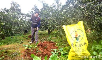 農(nóng)業(yè)困境 農(nóng)民在農(nóng)產(chǎn)品銷售中缺失定價(jià)權(quán)